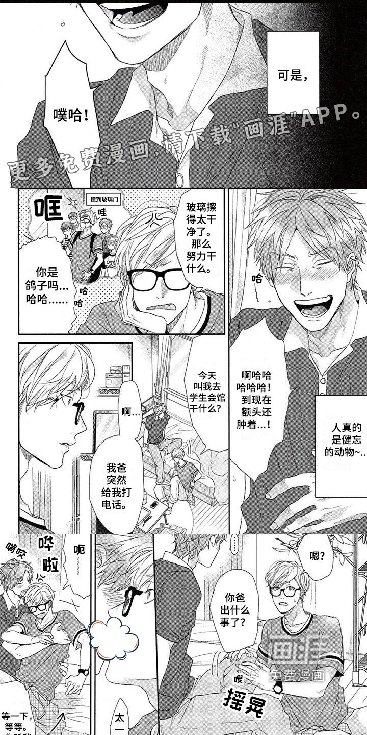 第13章：掩饰