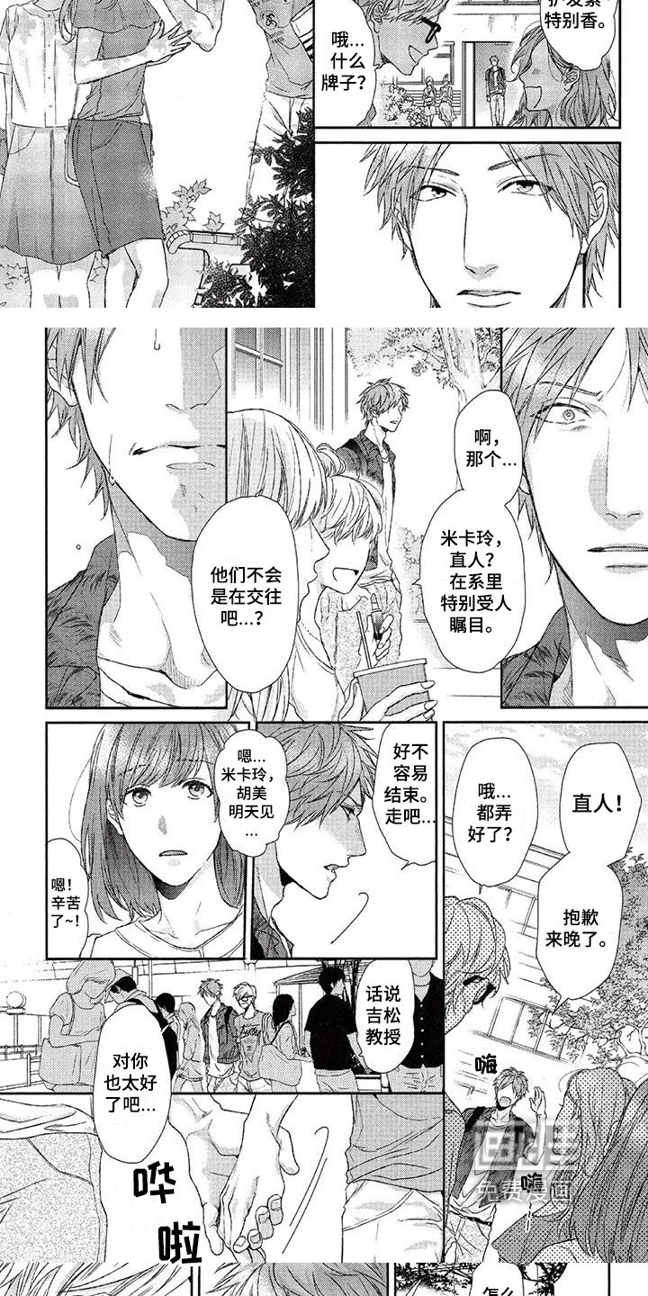 第13章：掩饰