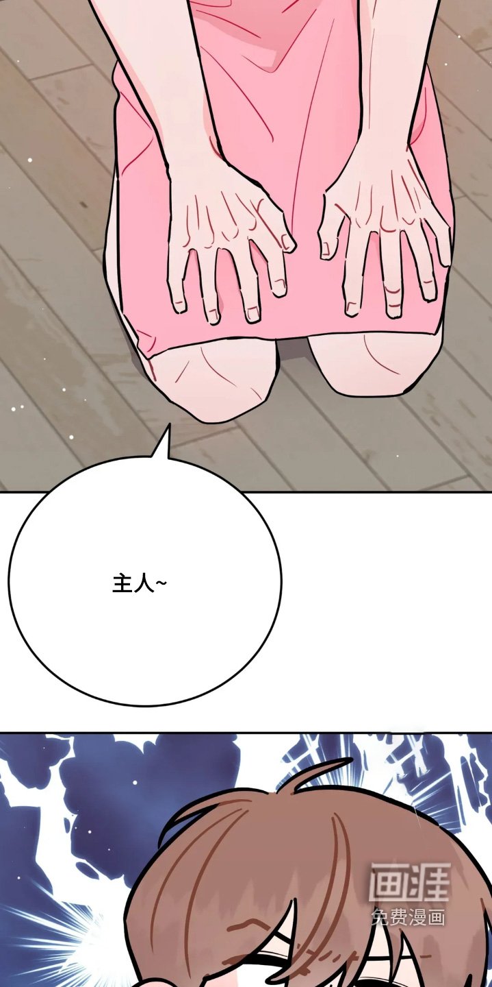 第164章：工资