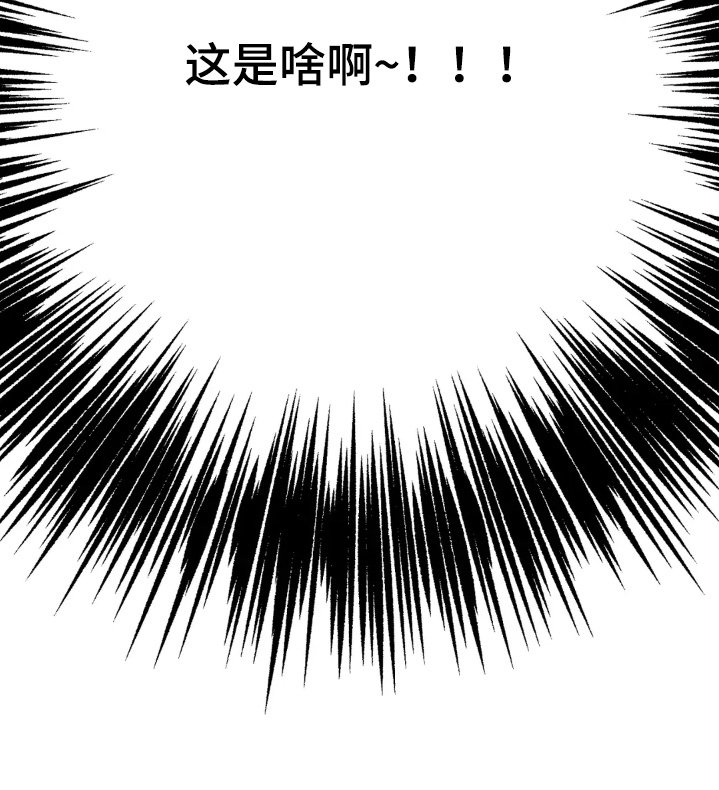 第164章：工资
