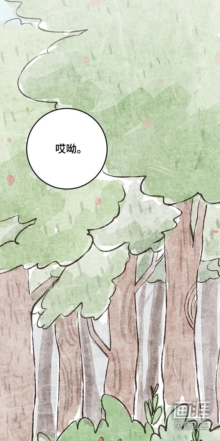 第58章：都不是