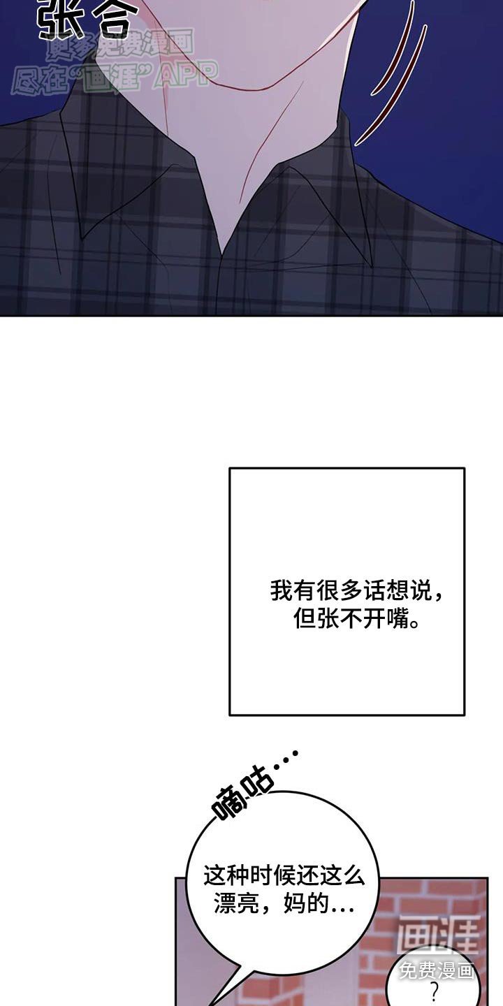 第82章：你说什么