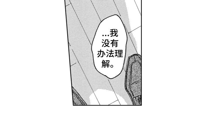 第2章：没法理解