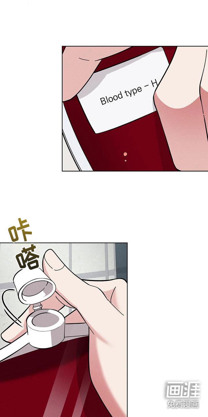 第13章：能力超群