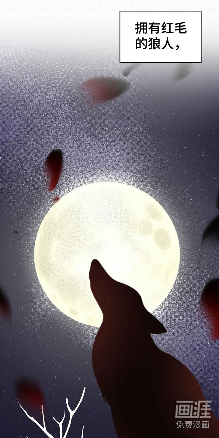 第16章：追击目标
