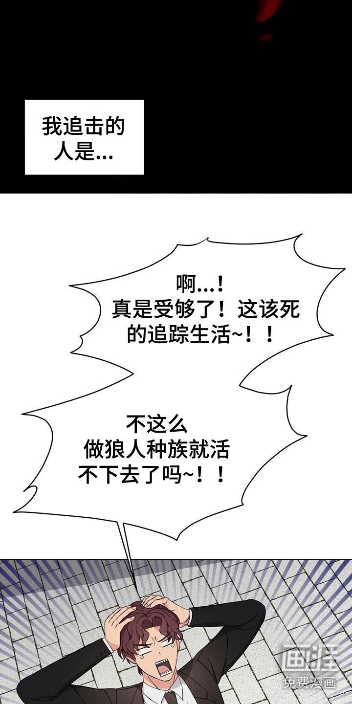 第16章：追击目标