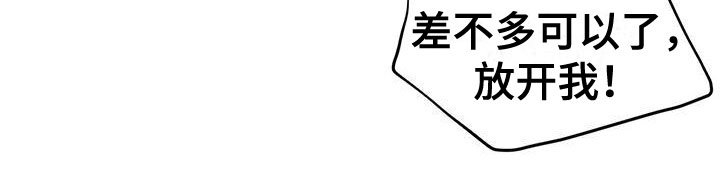 第17章：抓住了