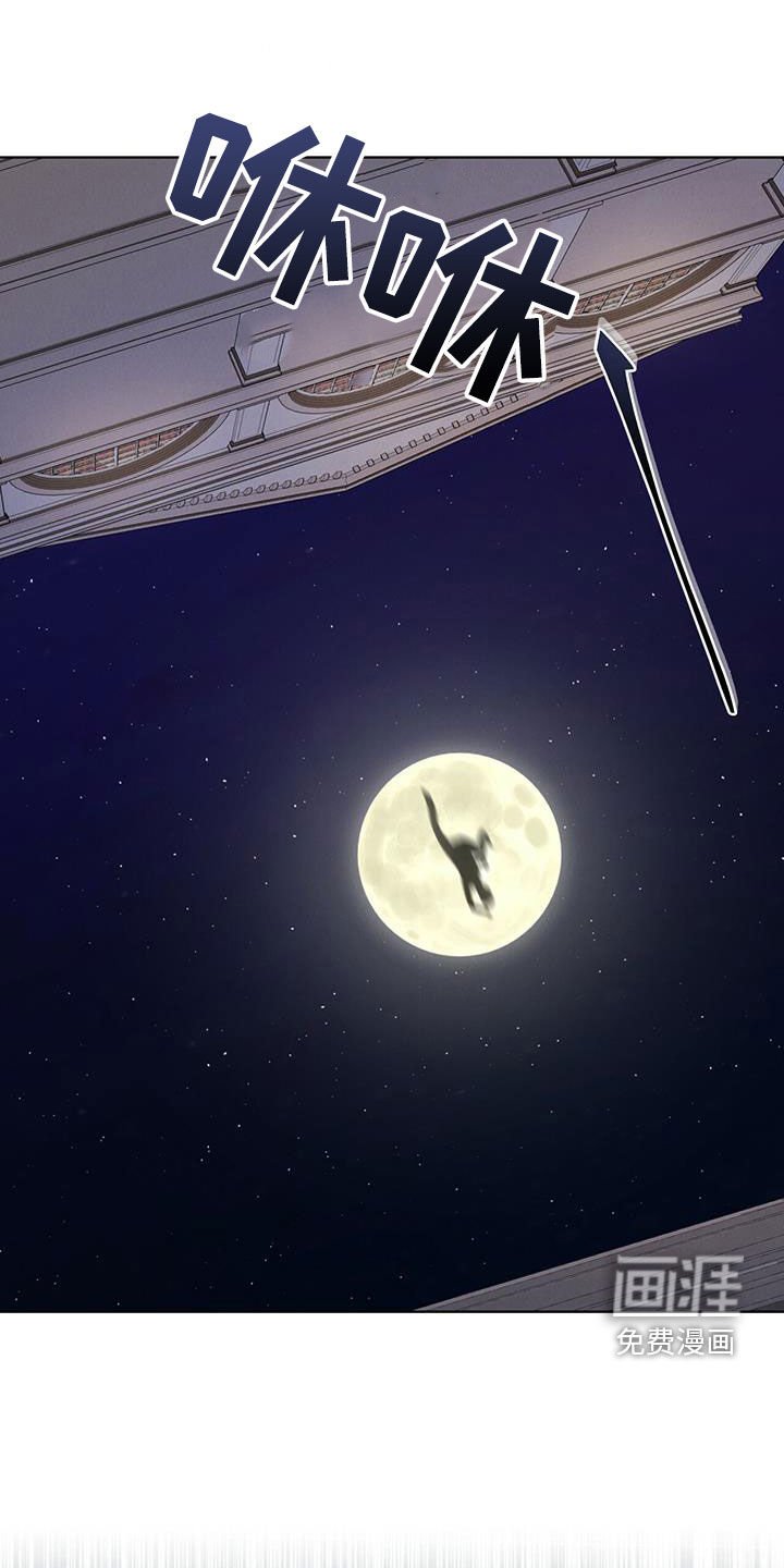 第19章：逃脱