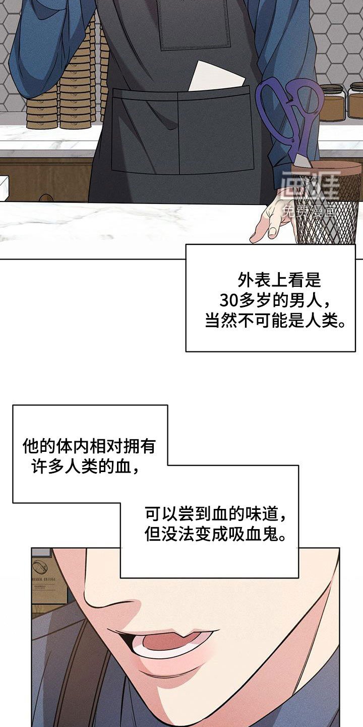 第35章：幻影族