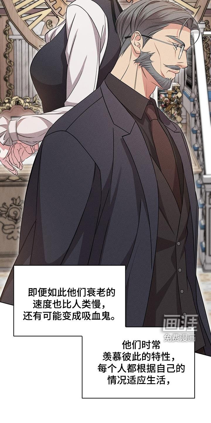 第35章：幻影族