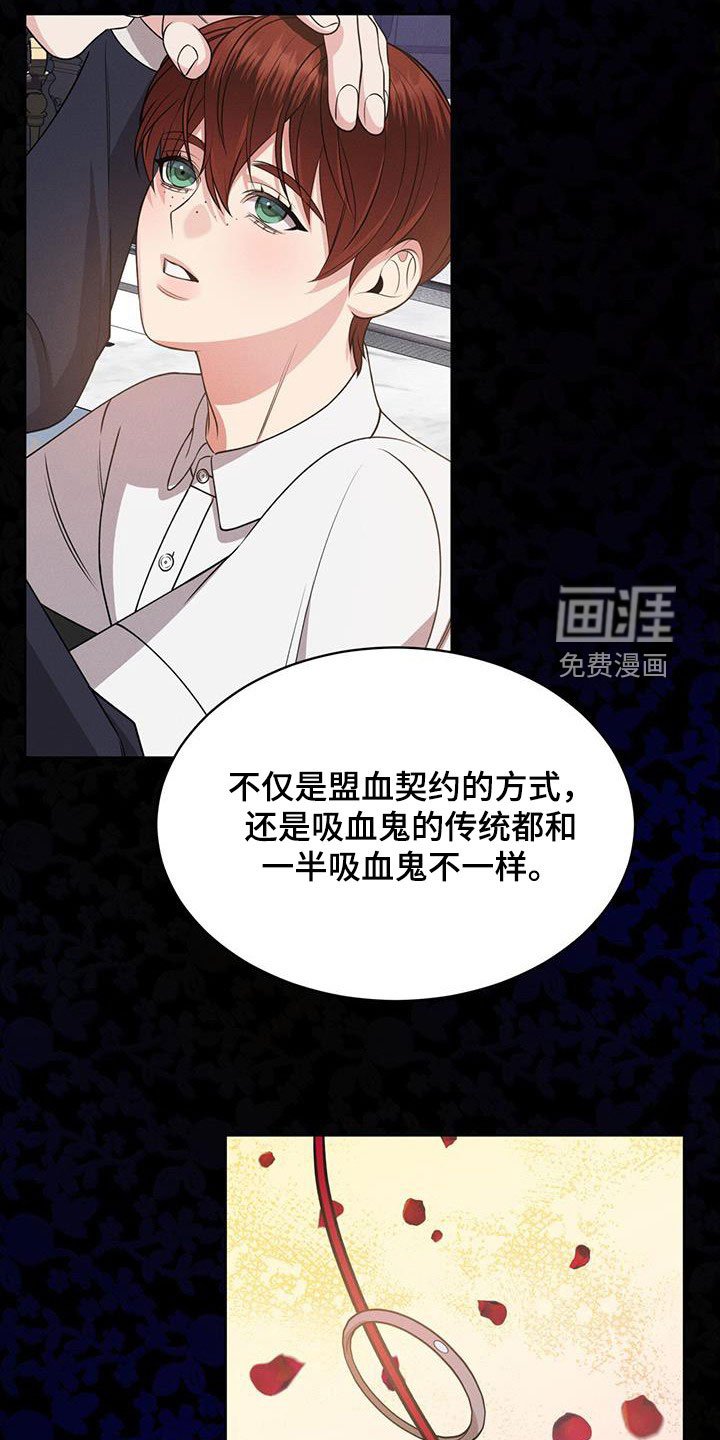 第35章：幻影族