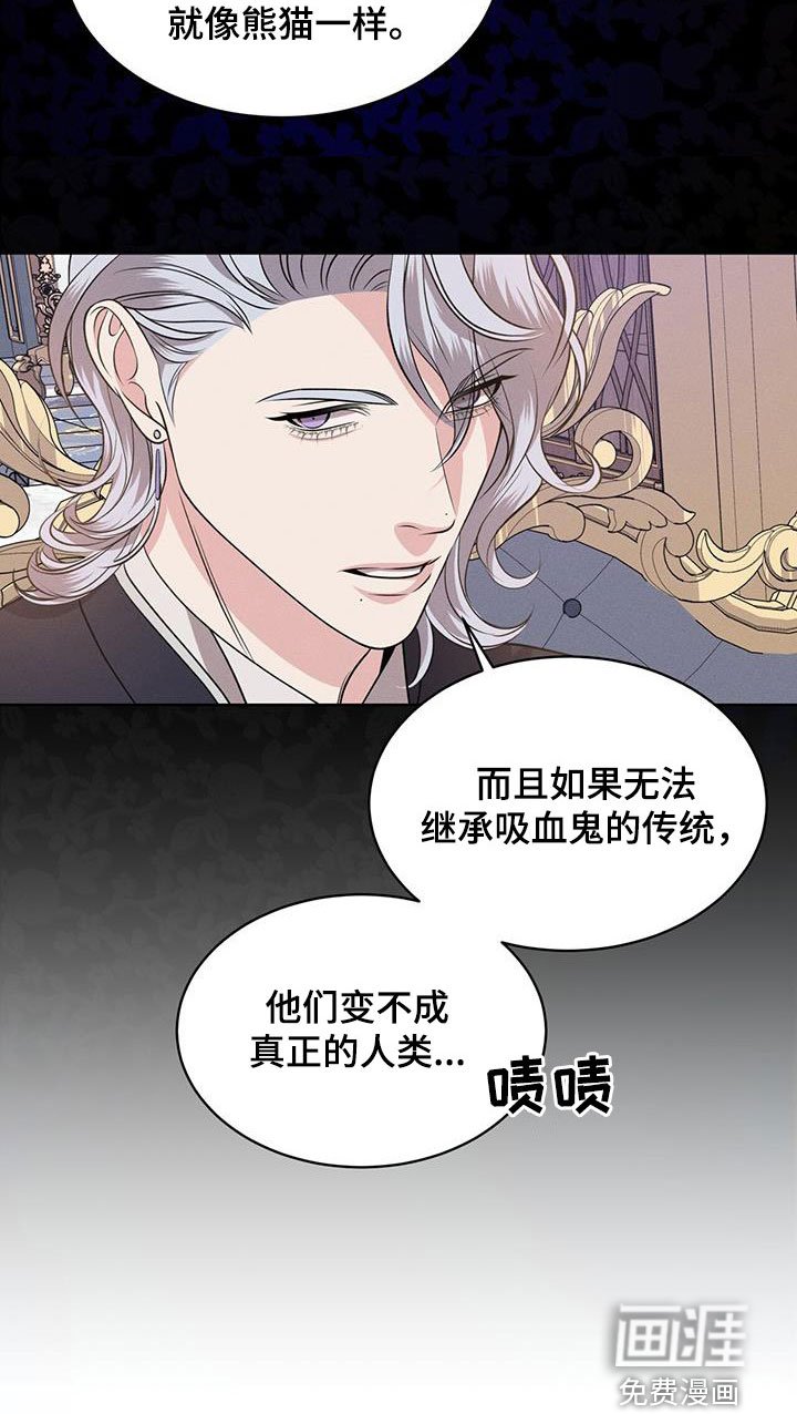 第35章：幻影族