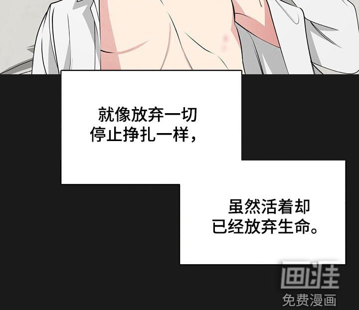 第41章：家
