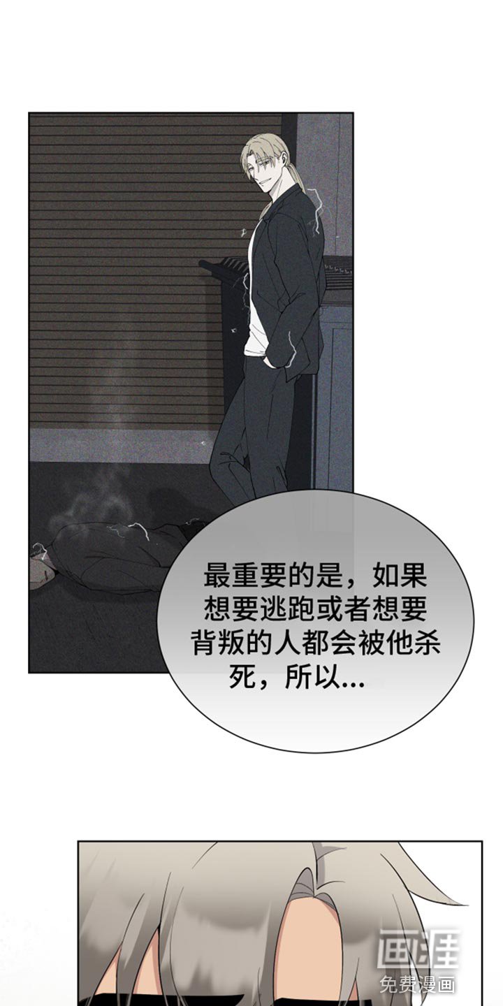 第18章：交往