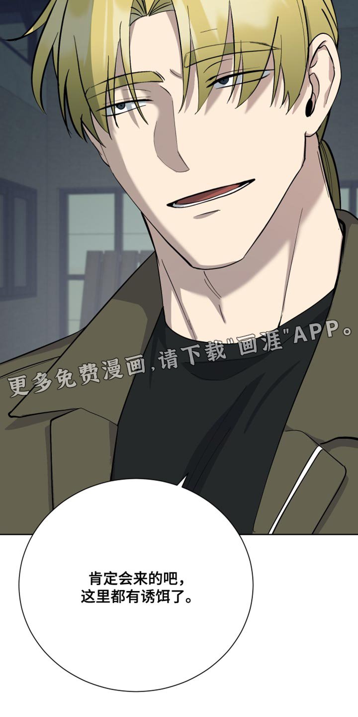 第40章：诱饵