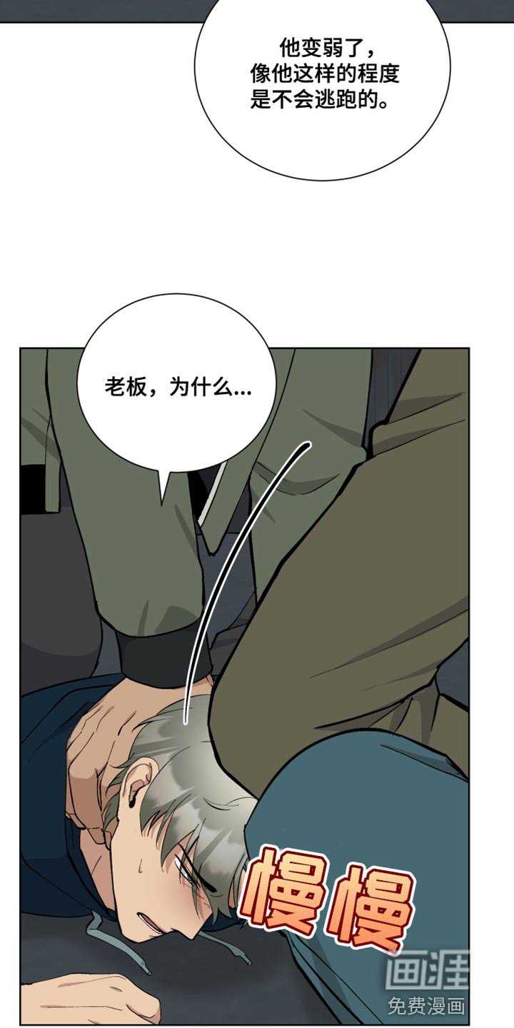 第41章：单独行动