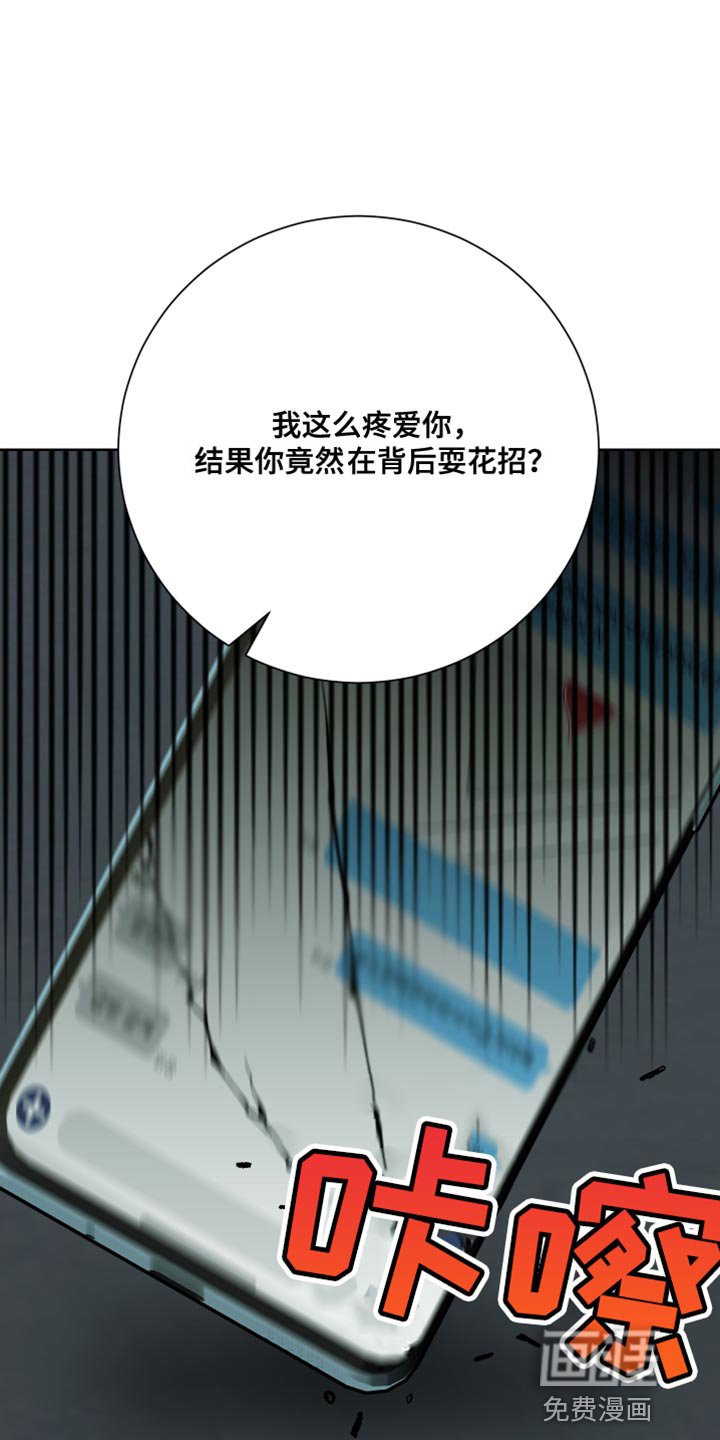 第41章：单独行动