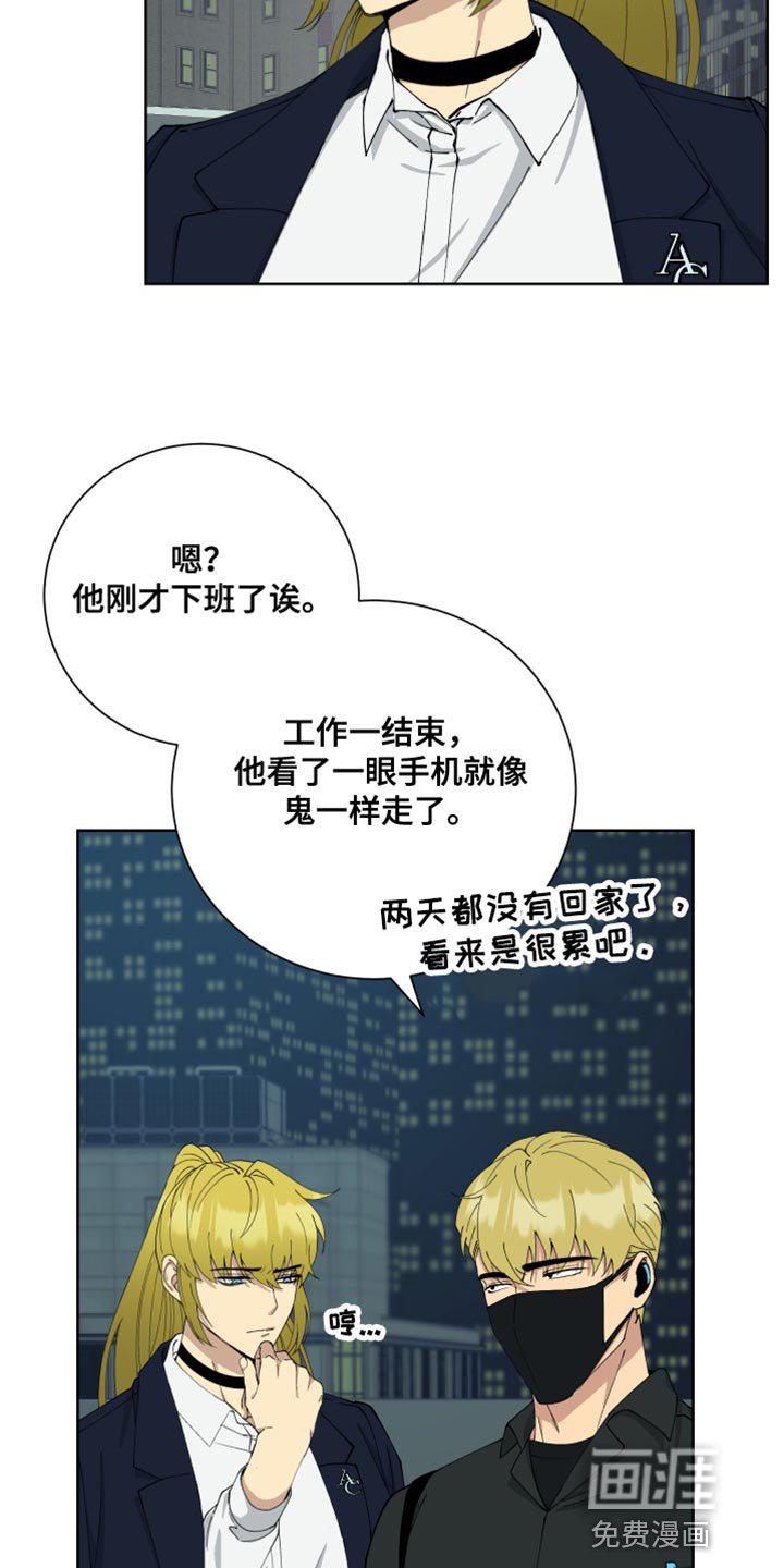 第41章：单独行动