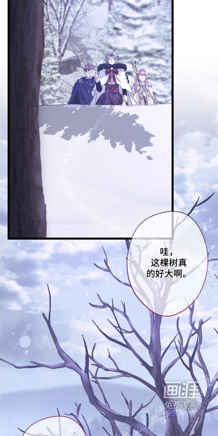 第16章：解除魔法