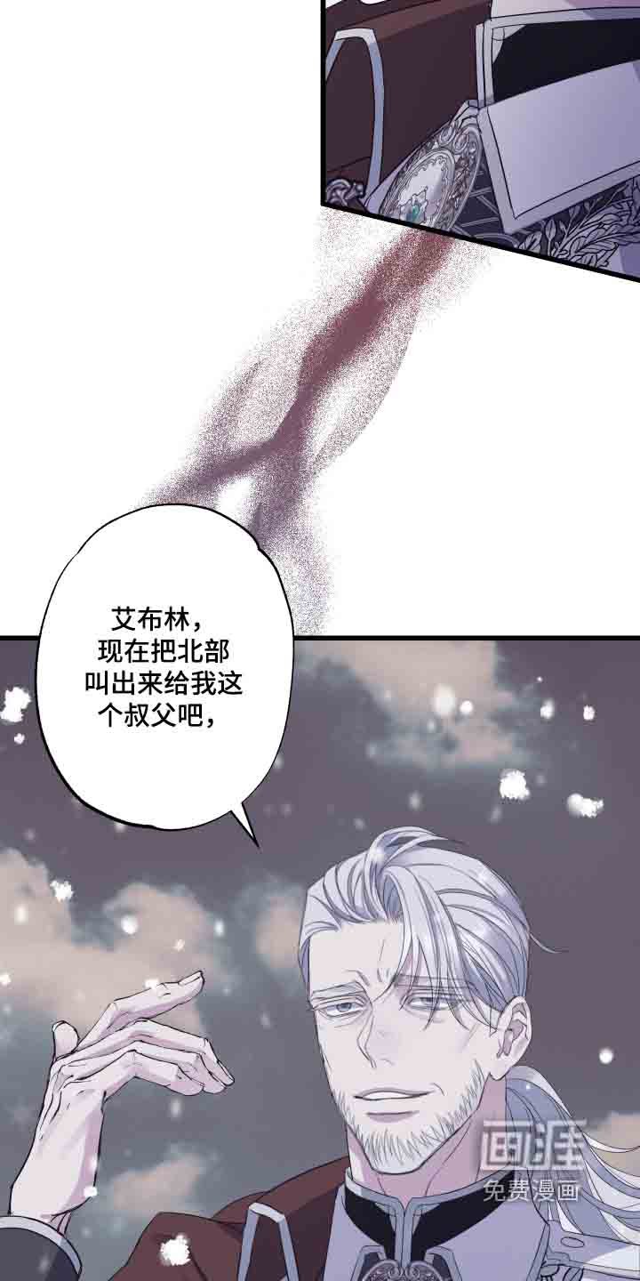 第19章：全员进攻