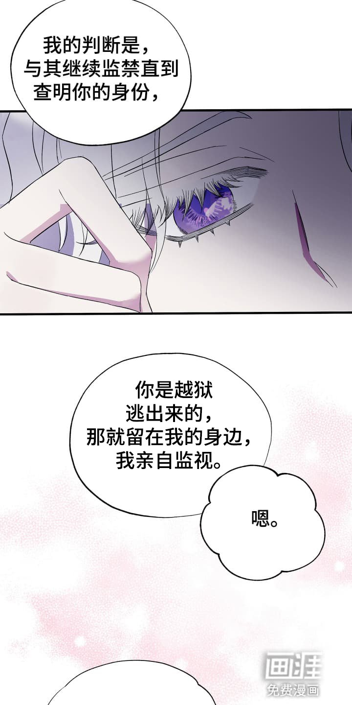 第5章：盗窃案再次发生