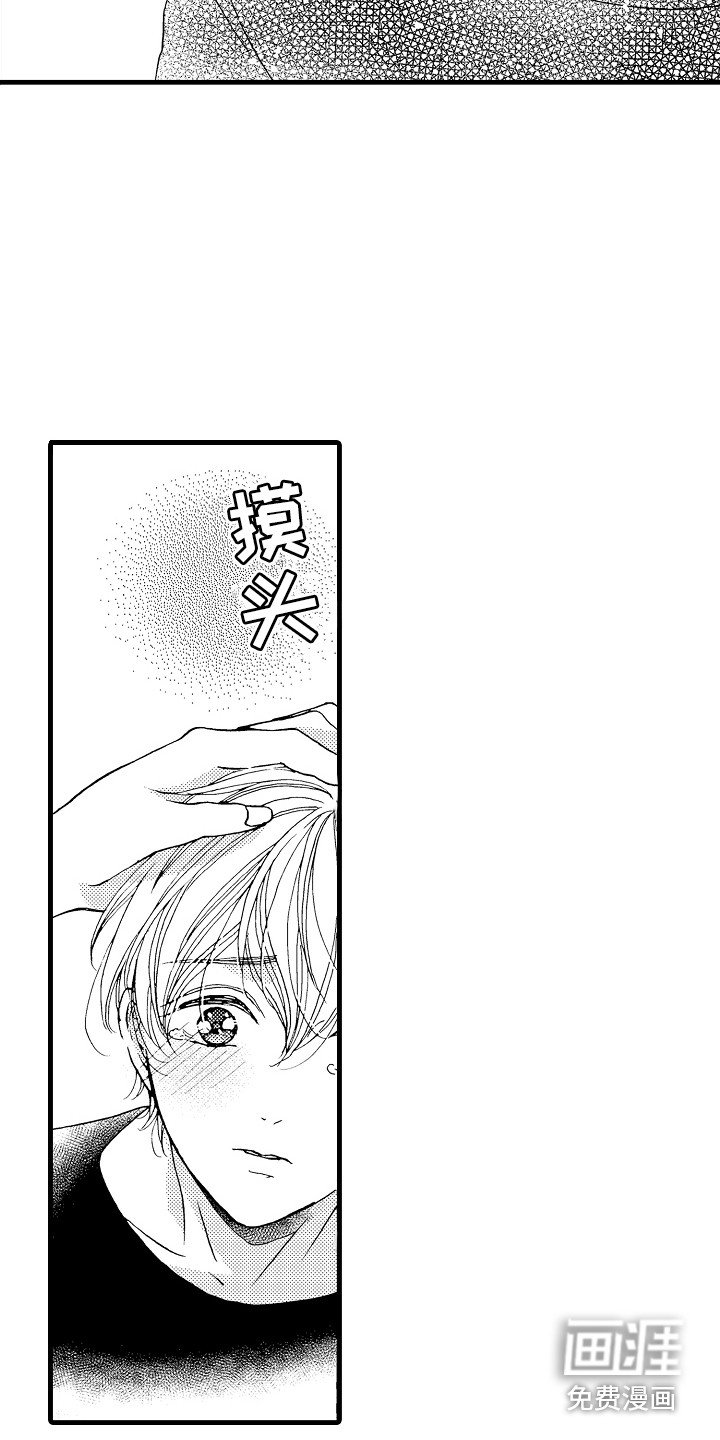 第19章：安慰