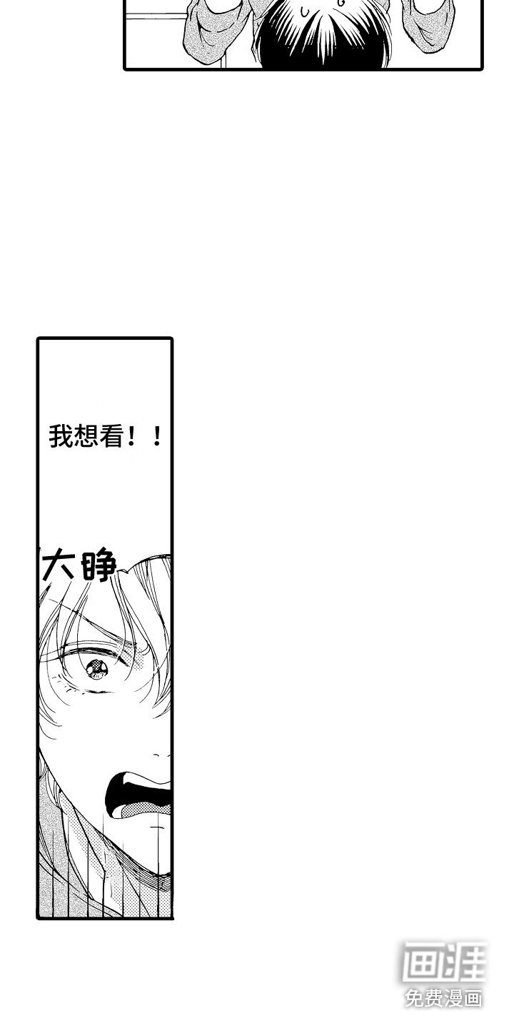 第4章：真正的粉丝