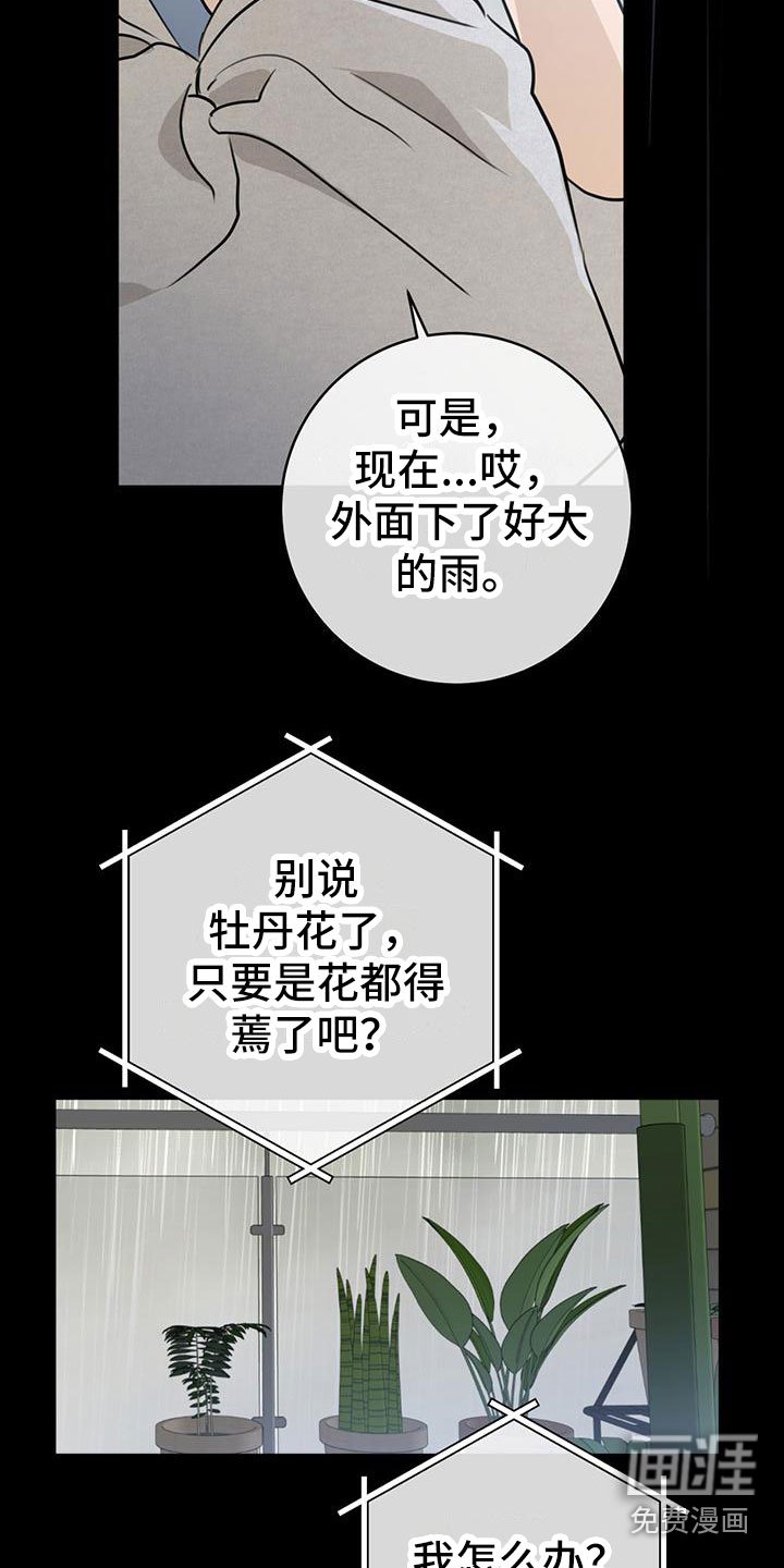第15章：为什么