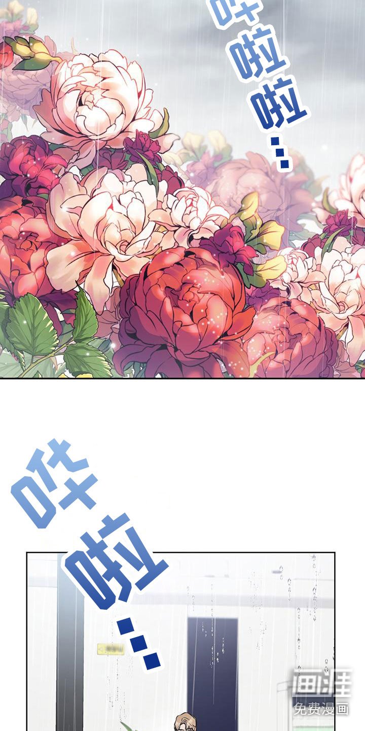 第15章：为什么