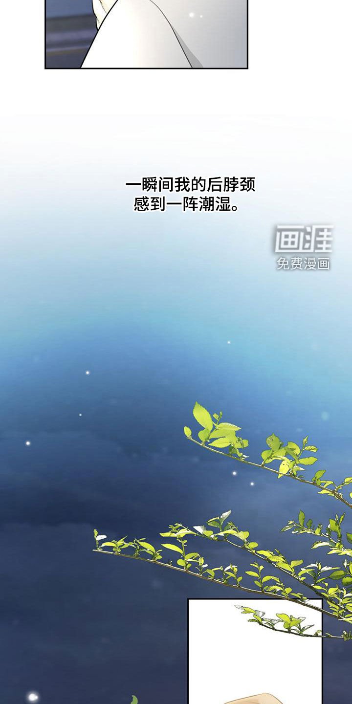 第28章：只能挑一个