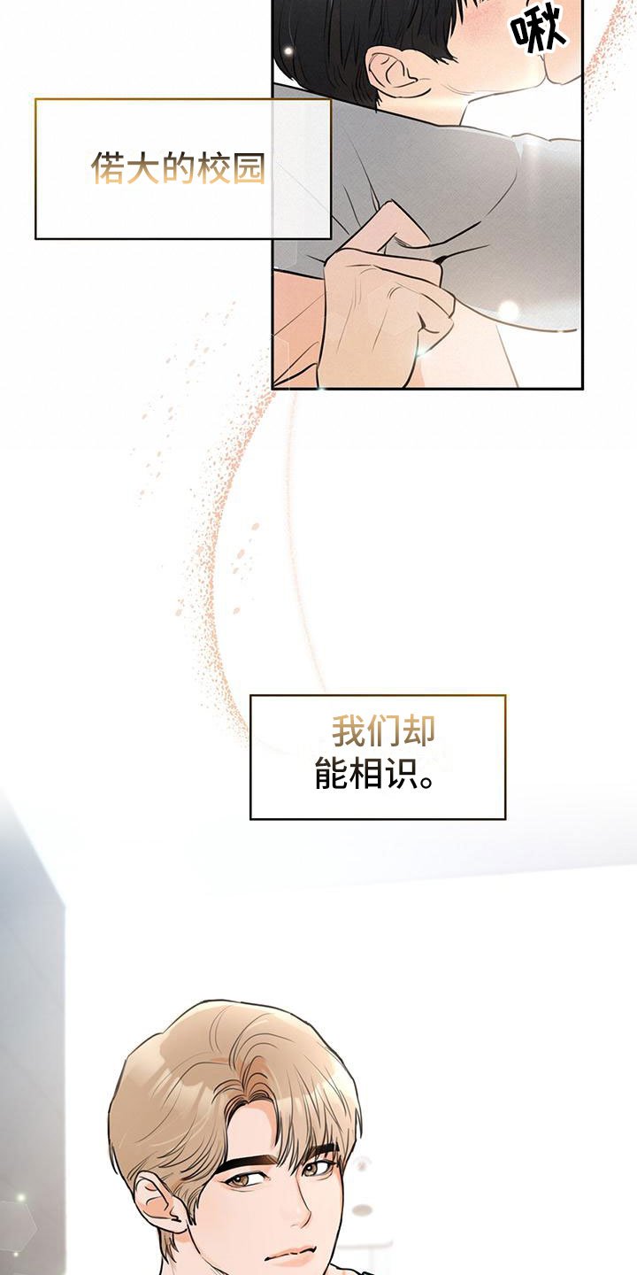 第3章：再次相见