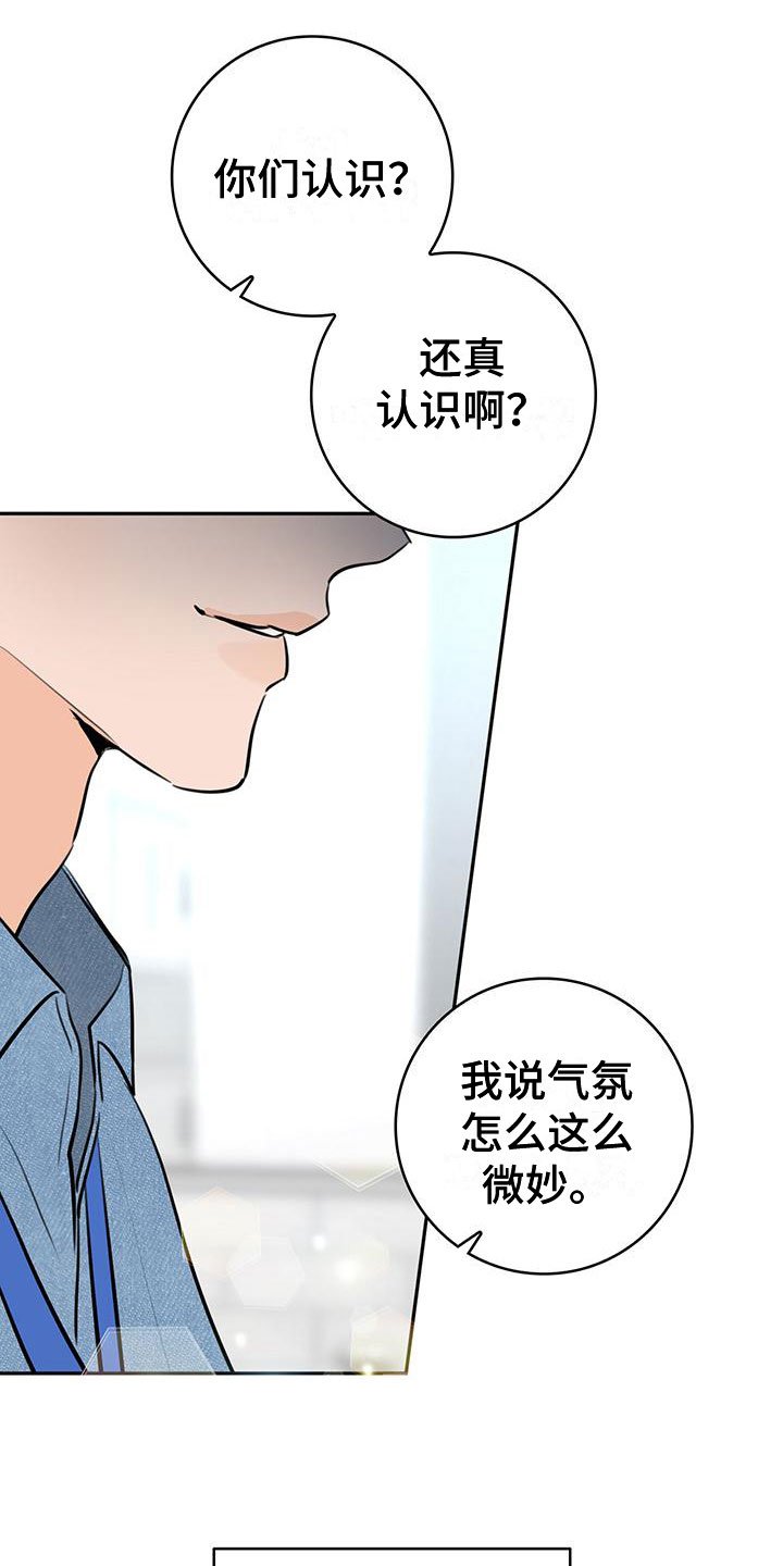 第3章：再次相见