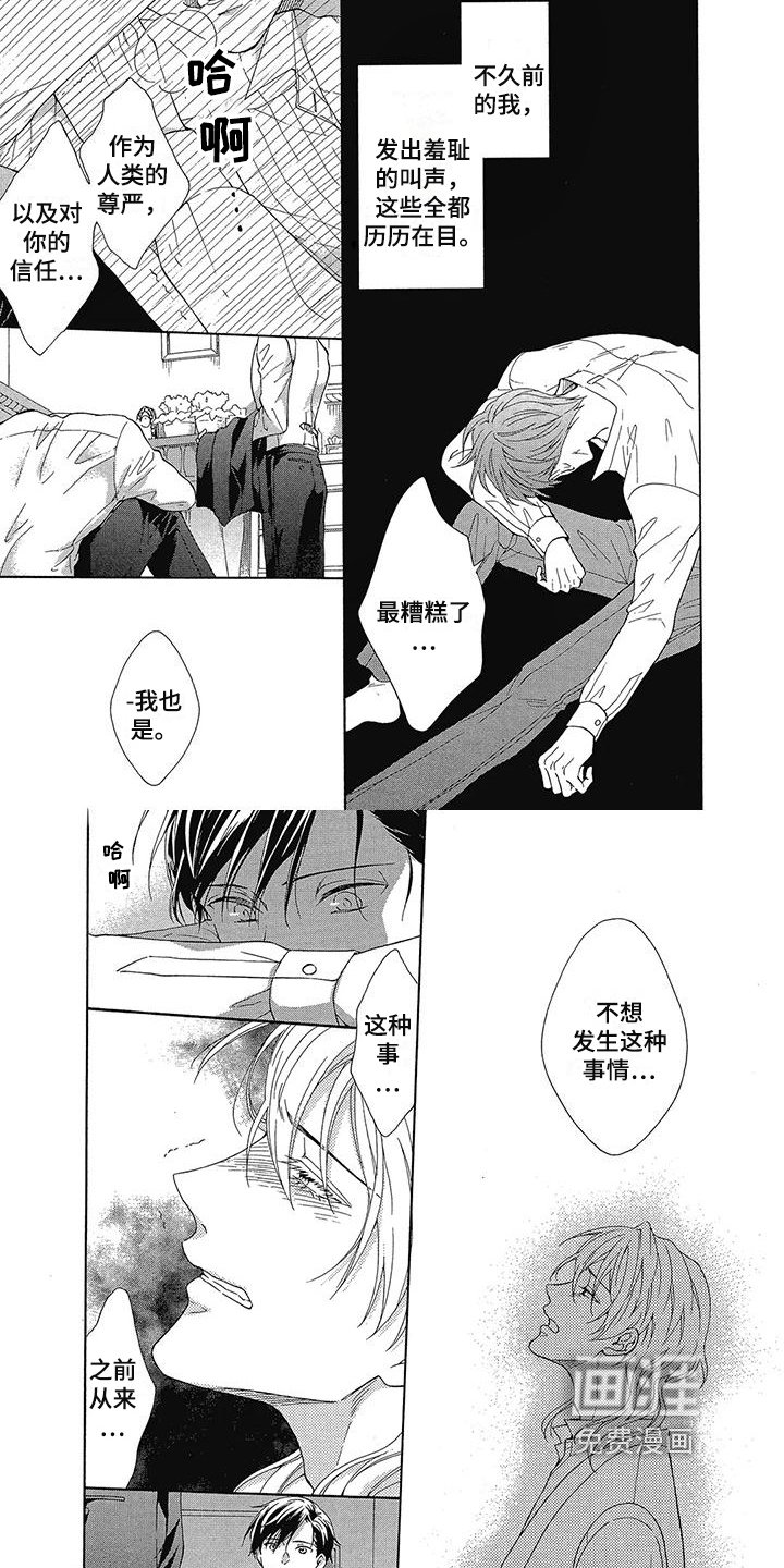 第15章：解释
