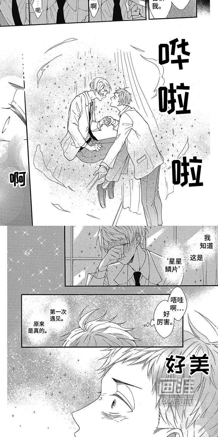 第29章：相爱
