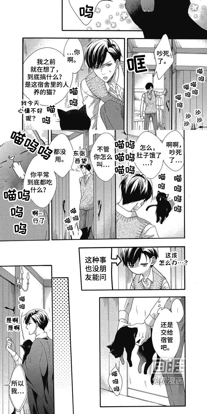 第7章：理由