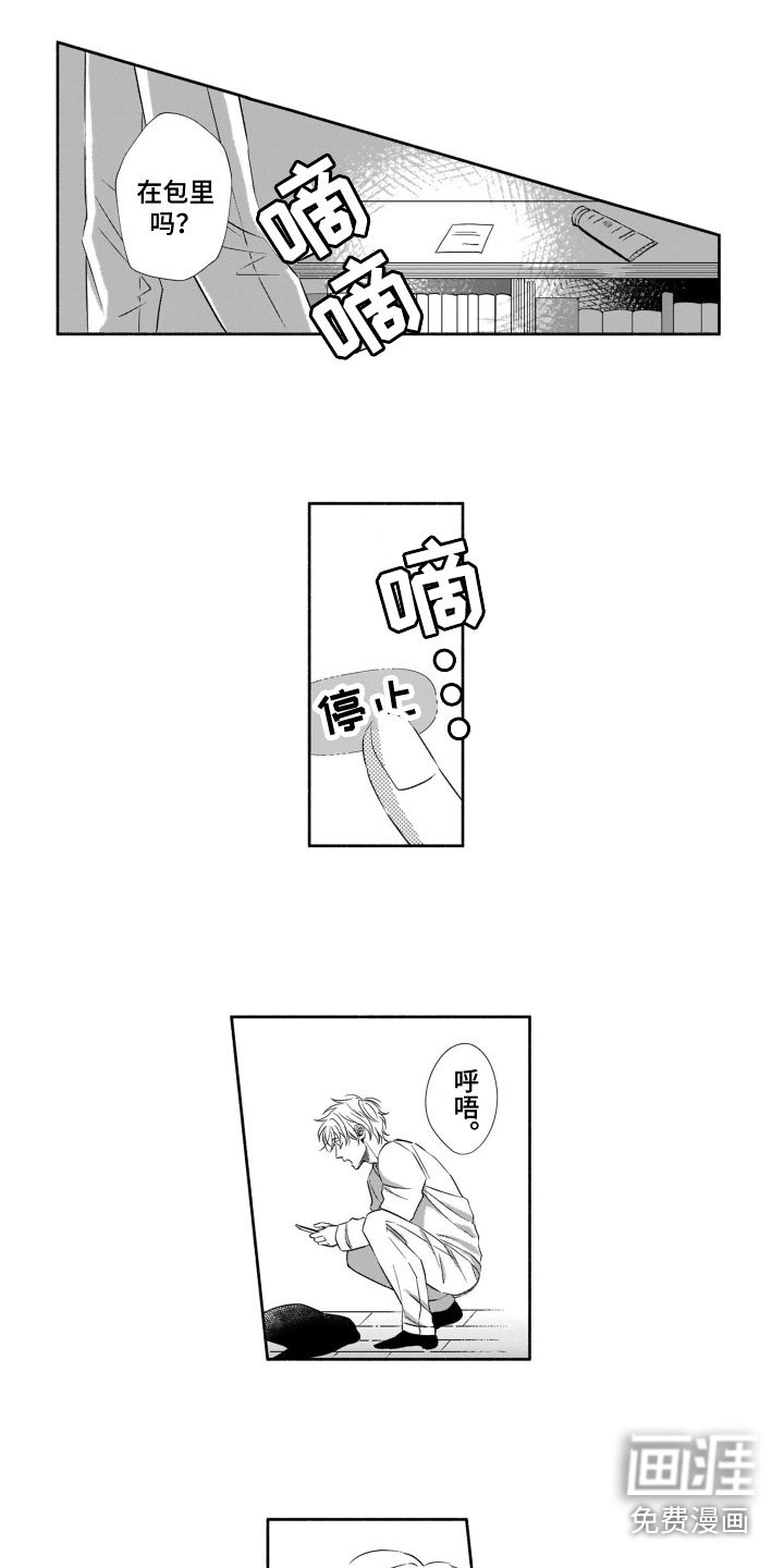 第4章：送他回家