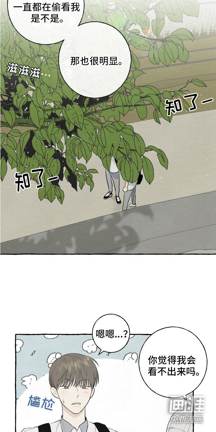 第11章：疑惑