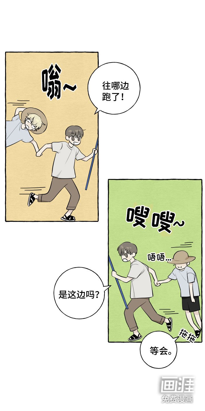 第13章：充满活力