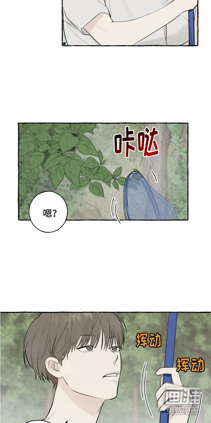 第13章：充满活力