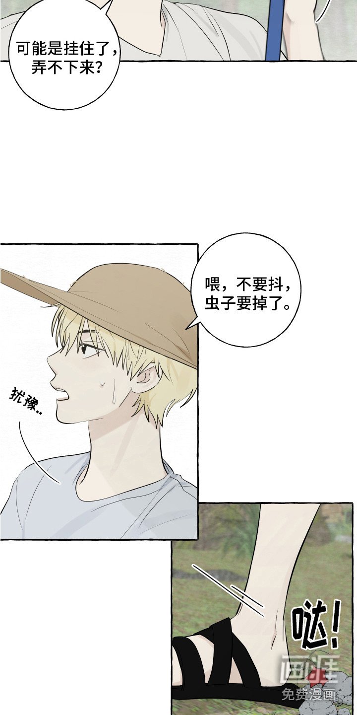 第13章：充满活力
