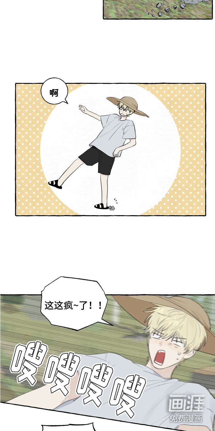 第13章：充满活力