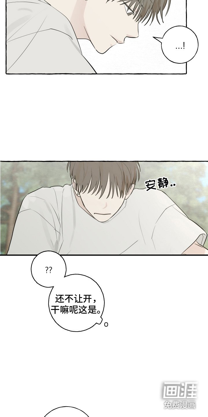 第13章：充满活力