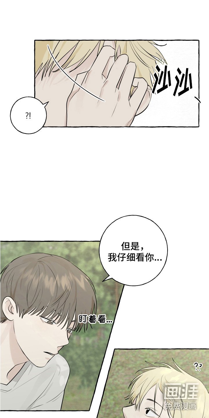 第13章：充满活力