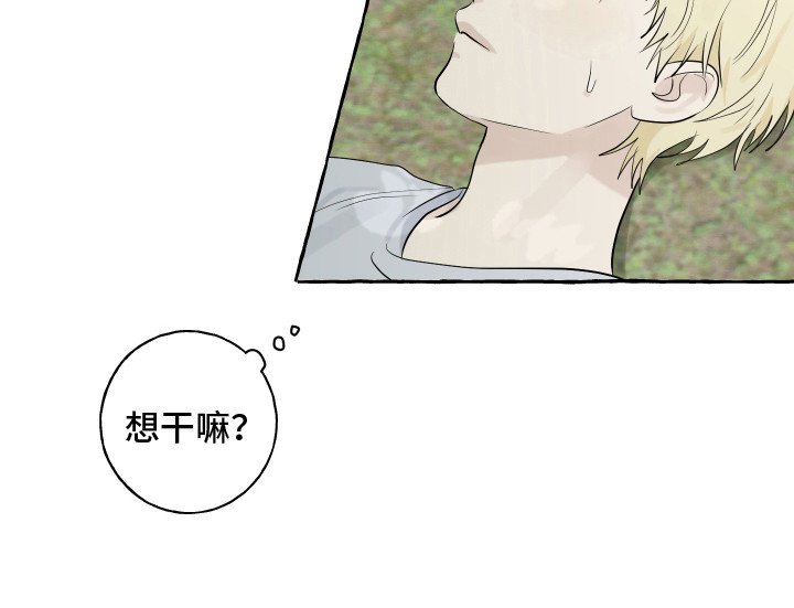 第13章：充满活力