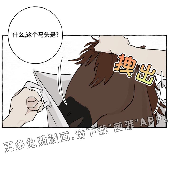 第20章：面具