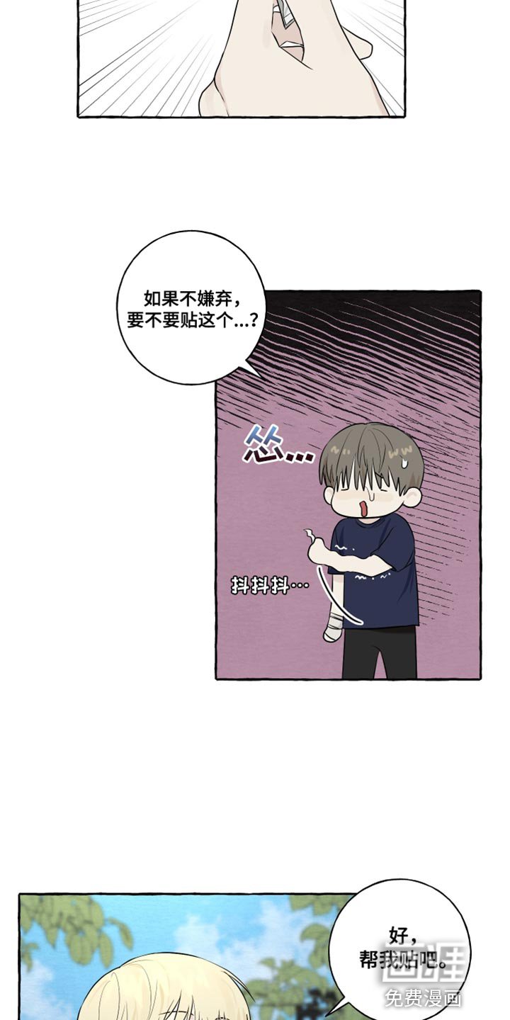 第39章：命运
