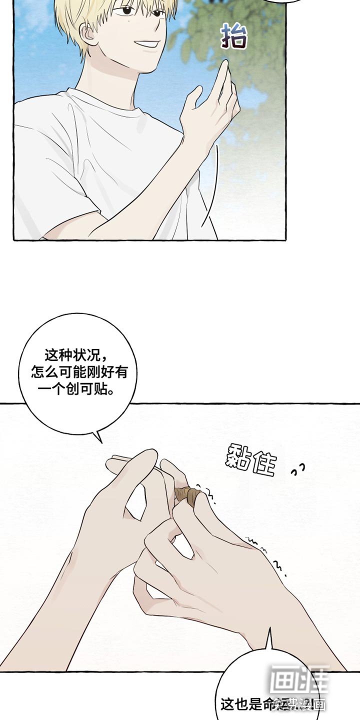 第39章：命运