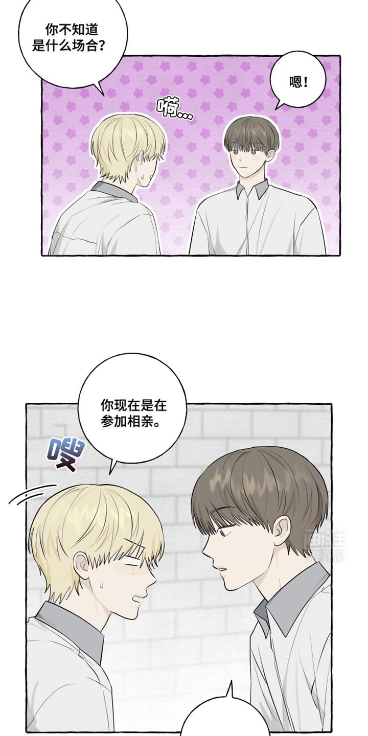 第61章：【第二季】喜欢的系列