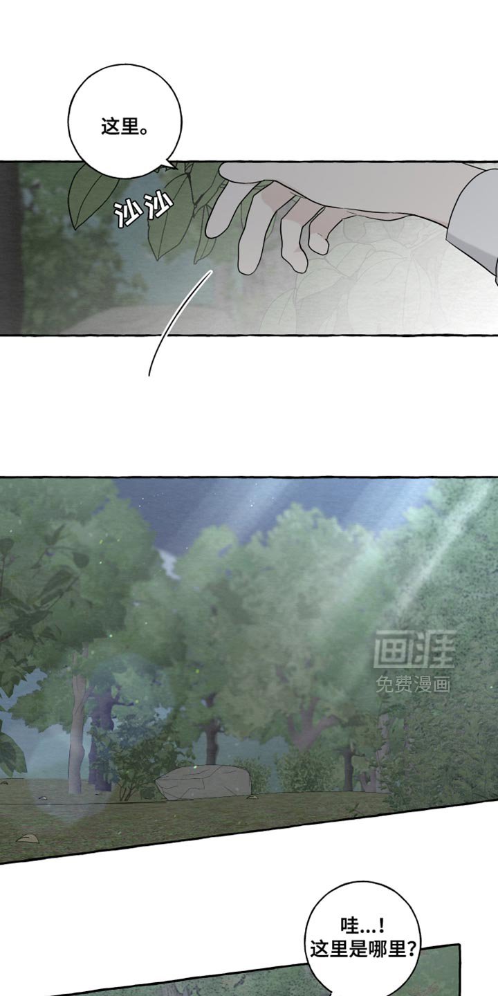 第79章：【第二季】生日快乐