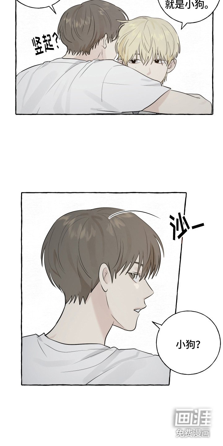 第8章：小狗